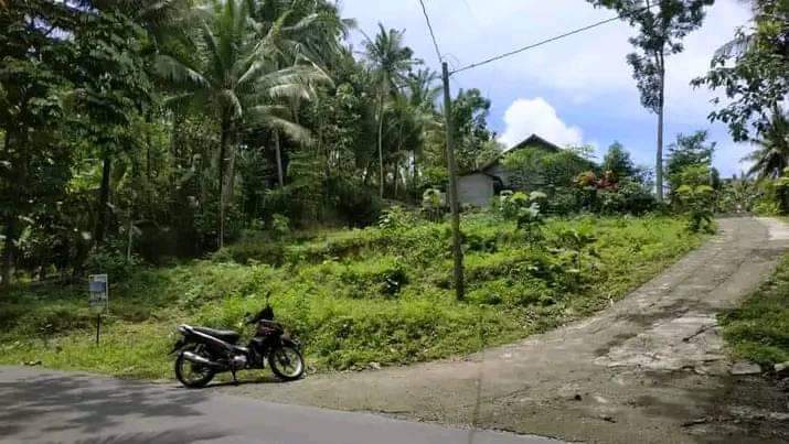 Jual Tanah di Sendangsari Pengasih dekat Kampus UNY Wates Kulon progo Yogykarta