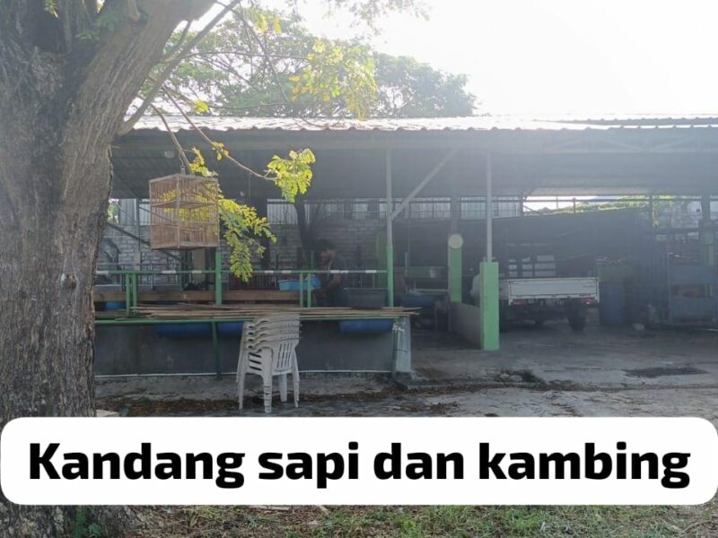 Dijual Tanah & Bangunan Strategis - SHM, Lokasi Tambun Selatan