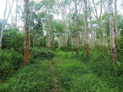 BU - Jual Murah Tanah Strategis Di Sumatera Selatan. Palembang